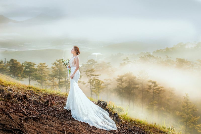 Lace Veil
